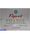 % PAPEL CHAROL PAPIER 10 COLORES 24X32 cm
